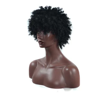 

Alororo Female Short Wigs Fluffy Curly Style Synthetic Wigs Use for African American Women Party and Daily Wear
