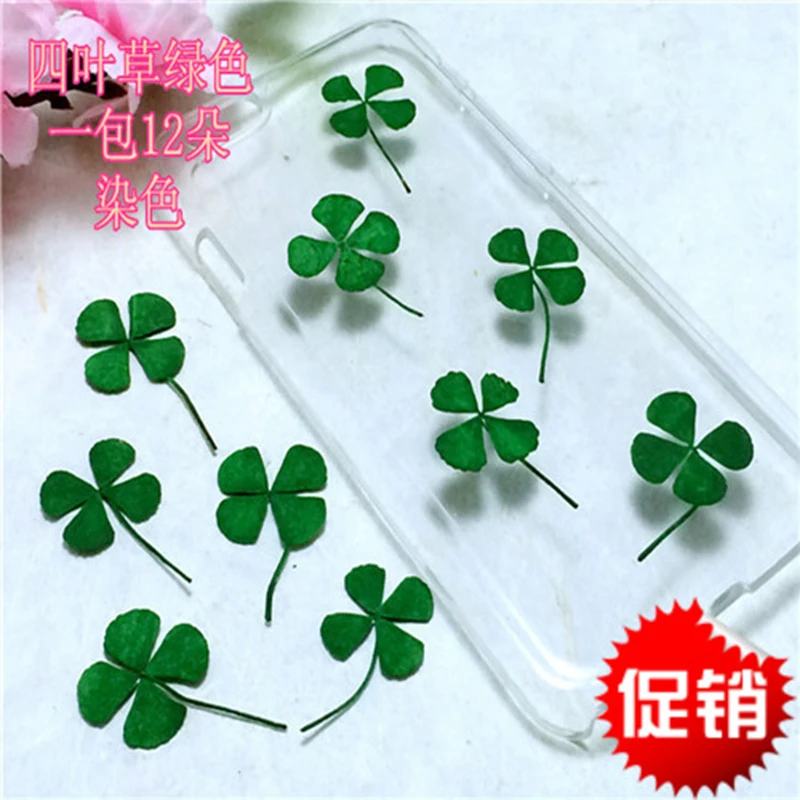 Высушенные цветы из эпоксидной смолы Lucky grass ручной работы засушенные образцы