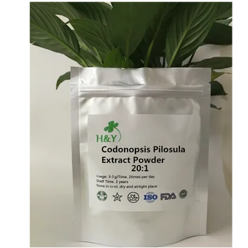 

150-1000g Free shipping high quality Codonopsis Pilosula Extract 20:1 powder Dang shen powder