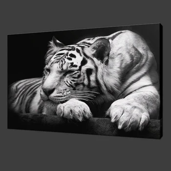 

White Tiger Canvas Painting on The Wall Wild Animals Posters and Prints Wall Art Decorative Pictures for Living Room Home Decor