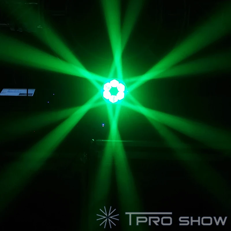 Bee-eyes-moving-head-feature-2