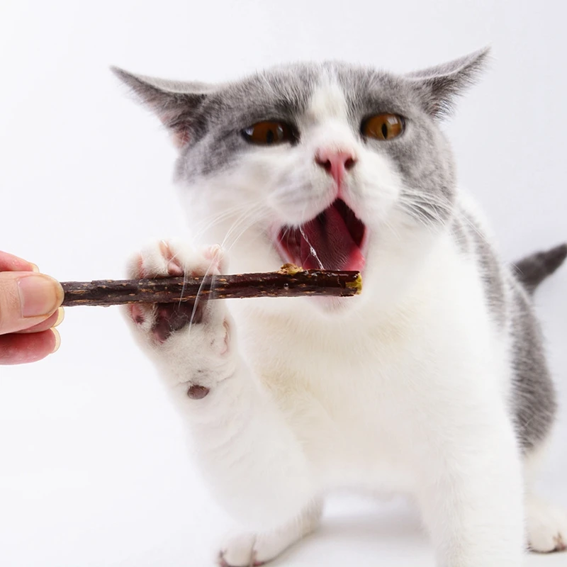 

10 Pcs/lot Catnip Cat's Teeth Cleaning Supplies Cat Chewing Toy Pet Cat Molar Toothpaste Stick Natural Silvervine Toys For Cats