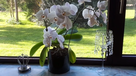 U621ce86795454901ac0fa02072f52f73k