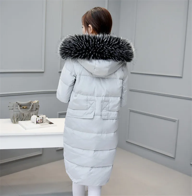 TB20gSVXOrz11Bjy1XaXXbRrFXa_!!1057430346