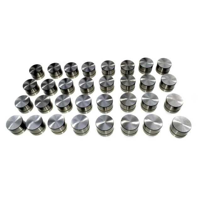 WOLFIGO Engine Hydraulic Valve Lifter Cam Follower Tappet for BMW M52