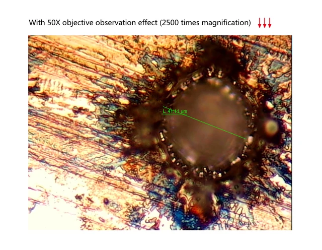 Trinocular HD Metallographic Microscope 5MP USB eyepiece Metal Mineral LCD Chip Reflected Light Stereo Biological 2 uses tanie i dobre opinie MUOU 500X-1500X OSL-528 Wysokiej Rozdzielczości Cyfrowy Mikroskop metalurgiczny Applicable to schools research factories and other Trinocular HD Metallographic Microscope 5MP USB eyepiece Metal Mineral LCD Chip Reflected Light Stereo Biological 2 uses tanie i dobre opinie MUOU 500X-1500X OSL-528 Wysokiej Rozdzielczości Cyfrowy Mikroskop metalurgiczny Applicable to schools research factories and other