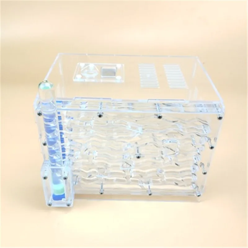 transparent