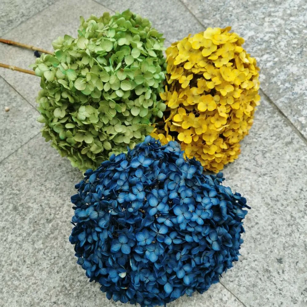 f0ac7abb48d12489ccd3ff0fd363924