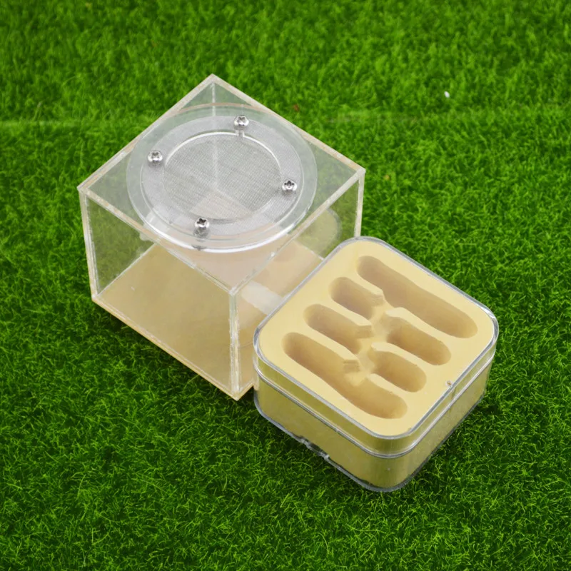 Plaster Ant Nest Acrylic Ant Farm Ants Queen House Insect Cage Anthills Pet Ant House Granja De Hormigas Hormiguero (1)