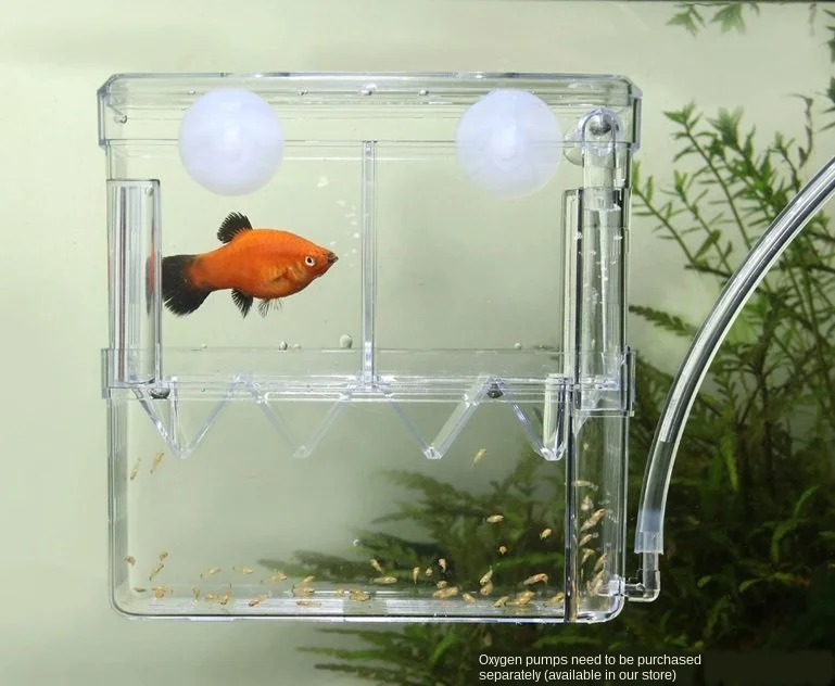 

Fish tank Breeding box isolation box segregator type ornamental shrimp non-acrylic small isolation box aquarium Accessories