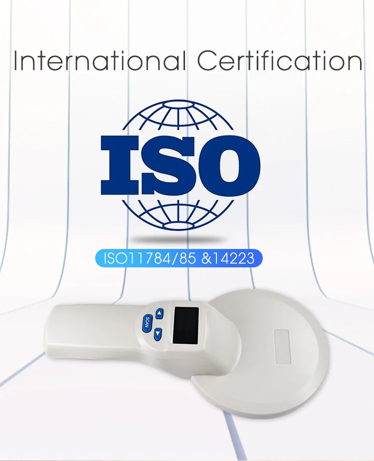 HTB1Jh1CaOnrK1RjSsziq6xptpXau