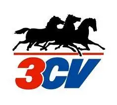 

3CV 0201215 - TRAT. INJECTION COMMON RAIL DIESELS