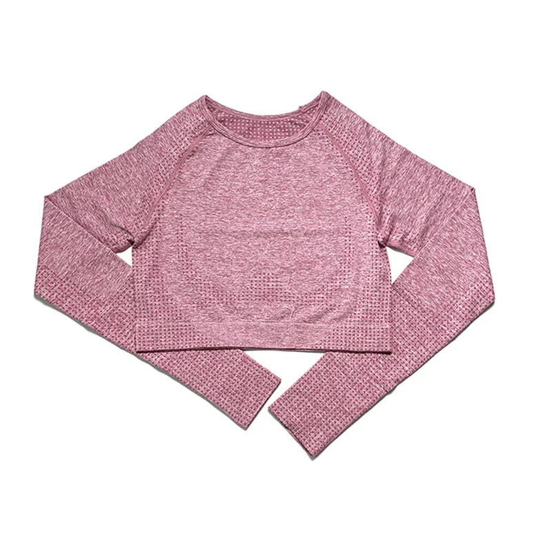 Pink Top Спортивная одежда, одежда для тренировок для женщин, комплект бесшовных леггинсов для йоги, для бега, тренажерного зала, одежда для фитнеса, спортивная одежда - Цвет: Pink Top