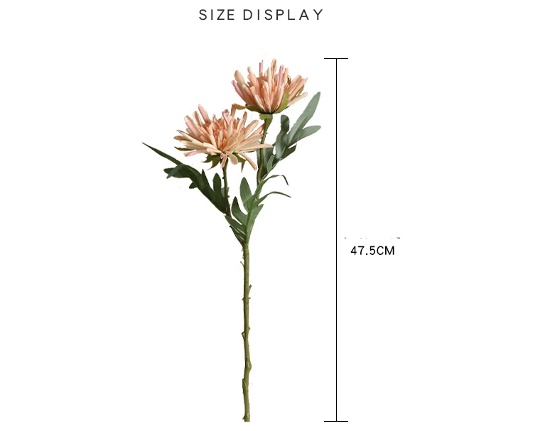 MW60011（电脑端）_03