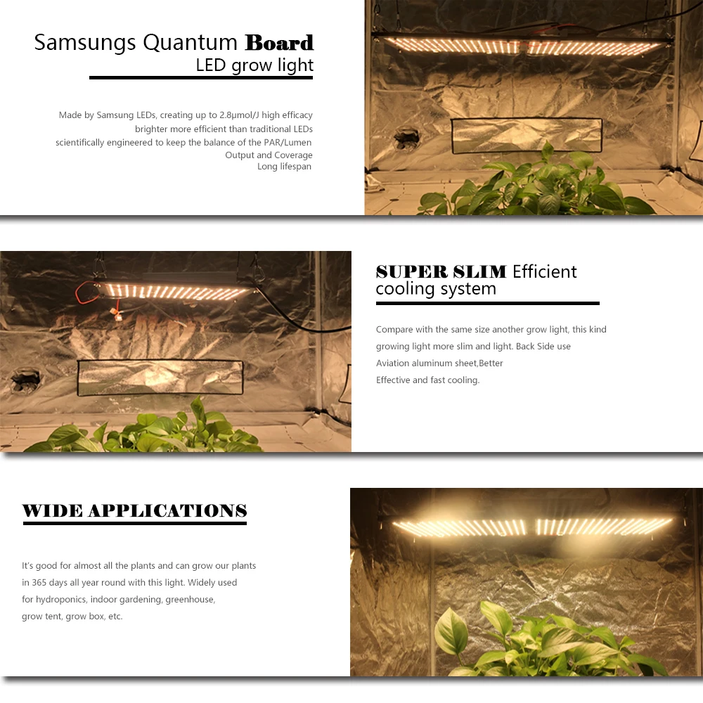 HTB1DY10ObPpK1RjSZFFq6y5PpXaQ