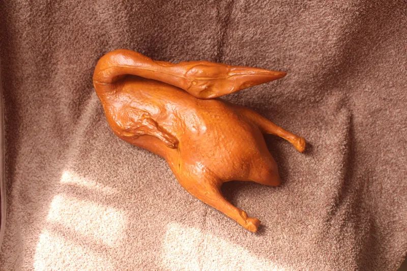 IMG_5185 duck