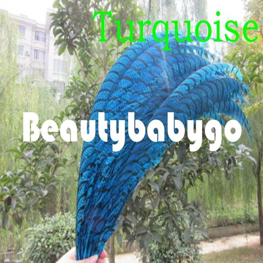 80-90cm 30-35Inches Lady Amherst Pheasant Tails Feather OR Zebra Pheasant Feathers