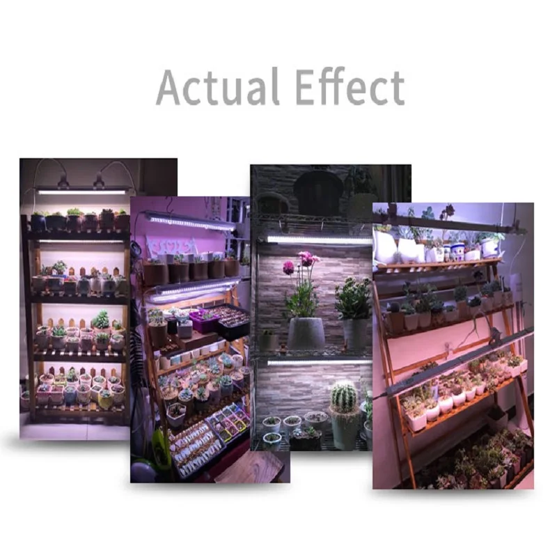 HTB1l1WibsnrK1RjSspkq6yuvXXaA