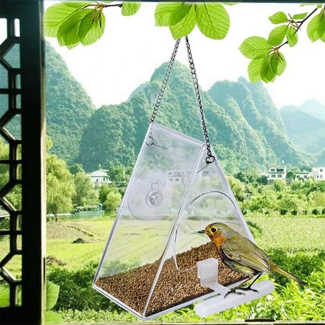 Mangeoire à oiseaux avec ventouse pour fenêtre, Mangeoires à oiseaux,  Étanche, Transparent, Outils d'alimentation, Montage de fenêtre, Acrylique,  Maison d'oiseaux - AliExpress