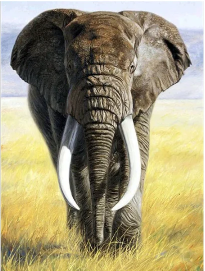 QQ截图20200622205537