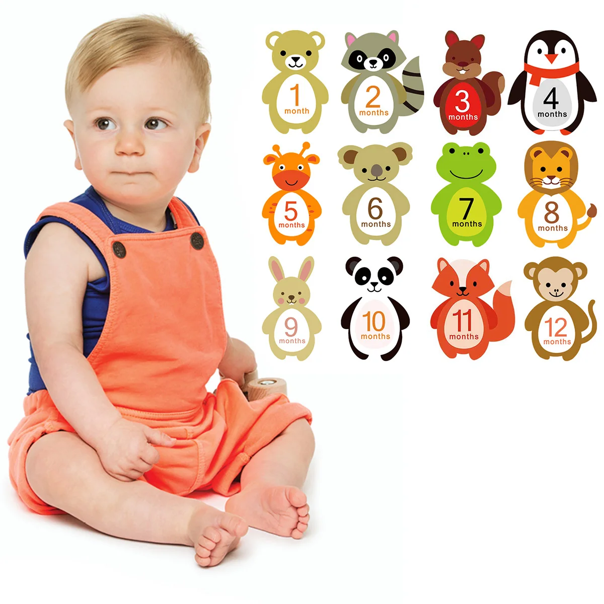 

12 Pcs Month Sticker Baby Photography Milestone Memorial Monthly Newborn Kids Commemorative Card Number Photo Props Gift