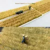 Rice and wheat field scene model  1 / 72 1 / 87 ho train sand table DIY miniature landscape material high quality 1