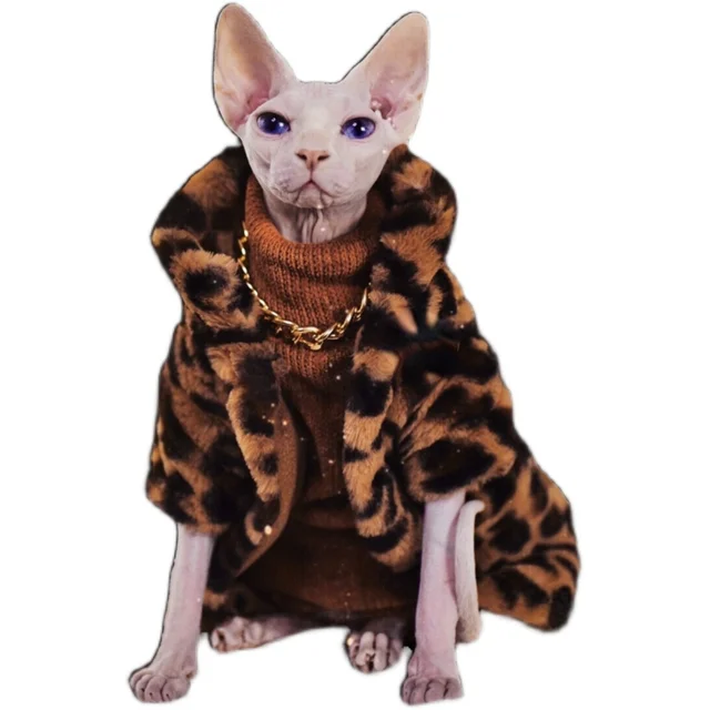 DUOMASUMI Veste L opard Doublement Rembourr e pour Chat Sphynx V tements Chauds Sans Poils Cornish