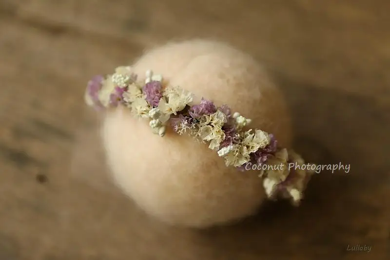 Рисунок 6 - Кокосовый реквизит для фотосъемки