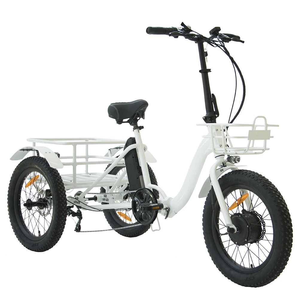 BTN electric trike dropshipping  (3)