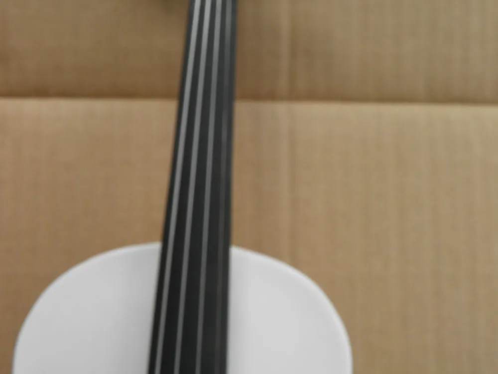 P3100456