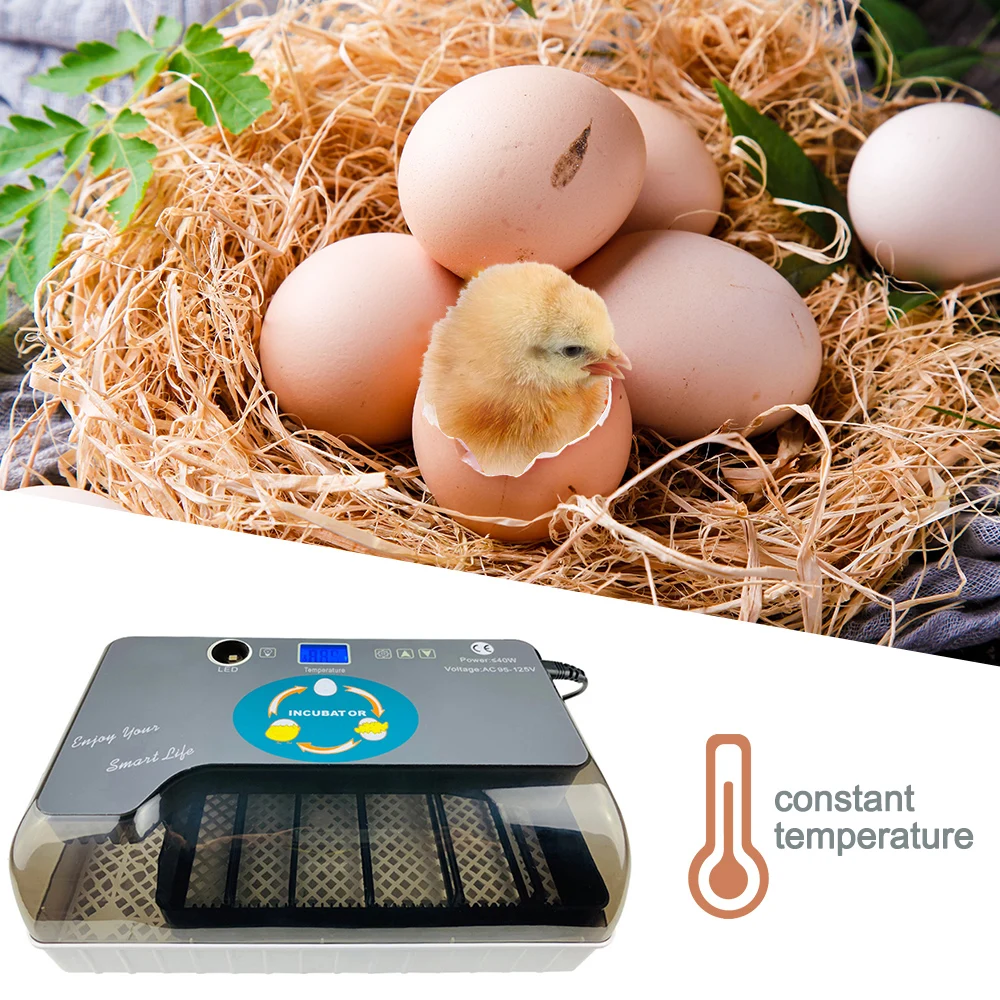 

Egg Incubator Automatic 12 Eggs Capacity Digital Farm Hatchery With 1.4 Display Screen Chicken Duck Bird Pigeon Hatcher US Plug