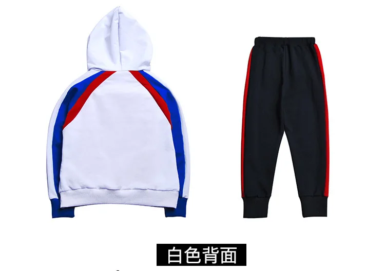 Boy Autumn Suit New Model Fashion hip hop Hat collar Sweater Boy clothes 2 sets Sportswear showclothing wholesale