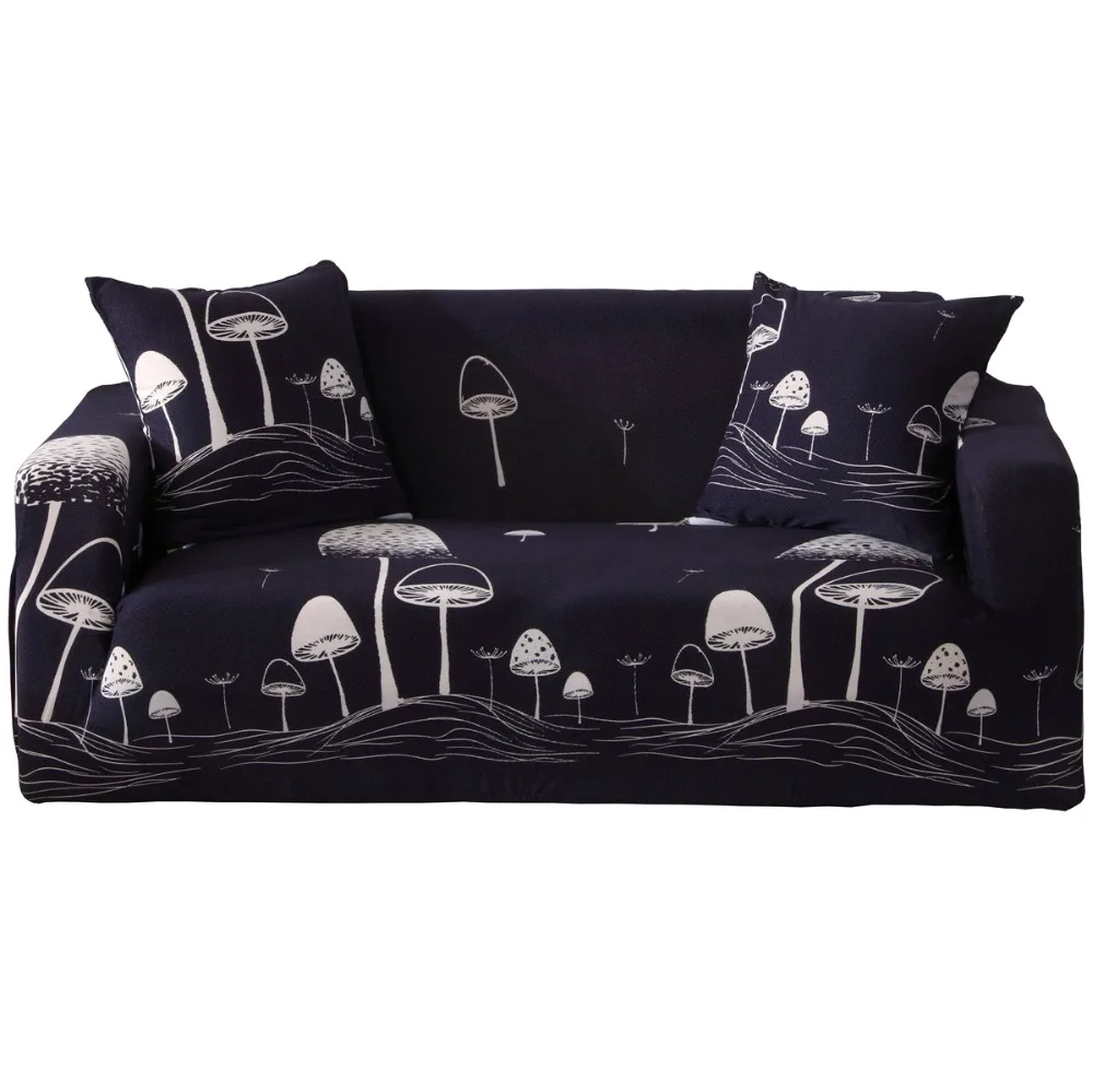 11141398967_920131939