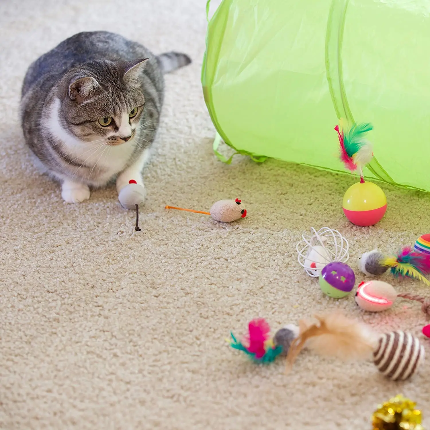 21Pcs Cat Toys Kit 2