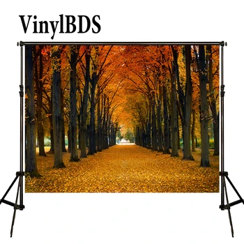 

VinylBDS Autumn Fallen Leaves Photography Backdrops Scenery Street Backgrounds Outdoor Nature Wedding Backdrop for Photocall
