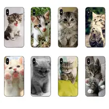 Kitty piosenki teoria wielkiego podrywu TPU wzór dla Xiao mi mi mi x Max uwaga 2 2S 3 5X6 6X8 9 9T SE A1 A2 A3 CC9e Lite zagraj Pro F1(China)