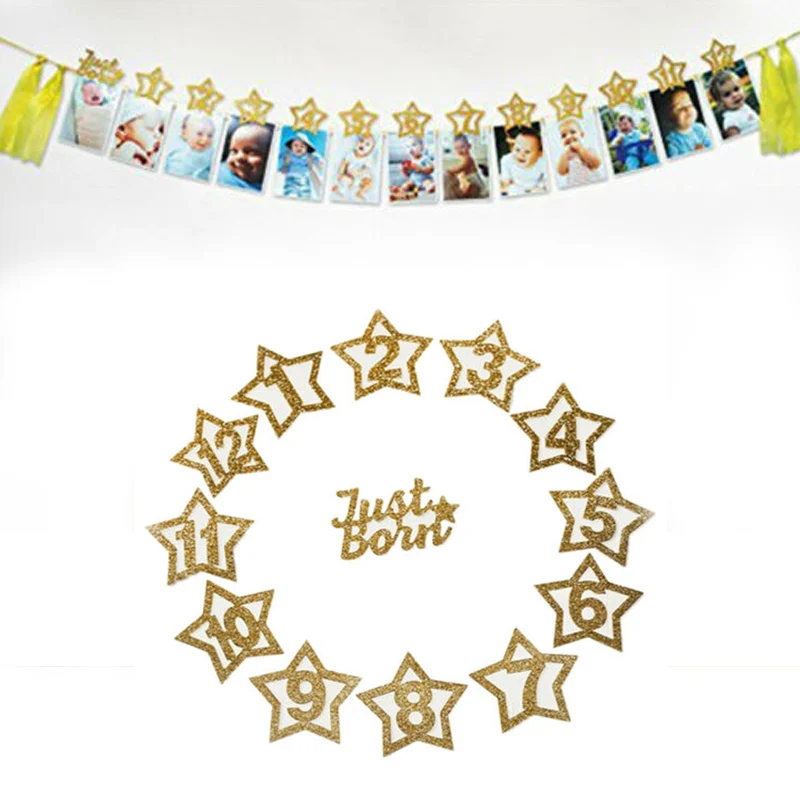 

Baby Birthday Party Glitter Star Monthly Photo Banner 1-12 Months Garland