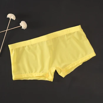 

Men's boxers transparent Seamless Breathable Boxer Low-rise Slim Sexy See-through male Underwear elastic