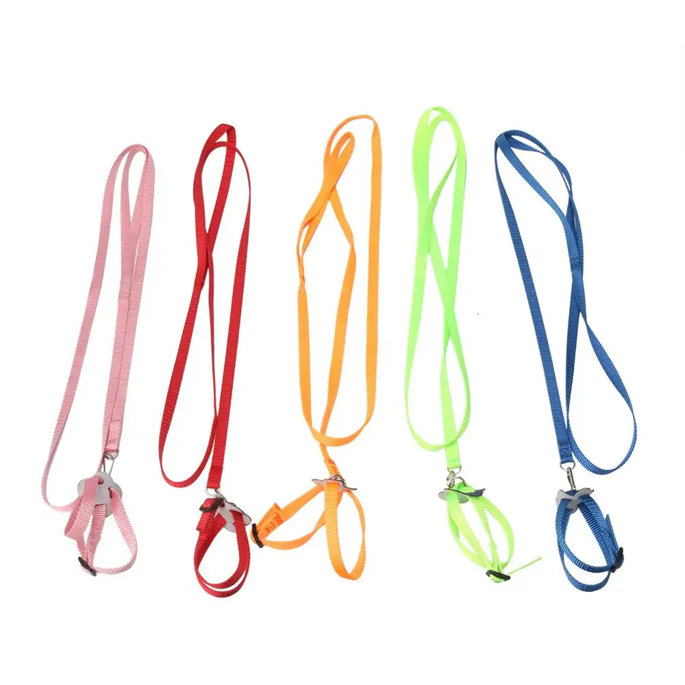 Pet Harness Adjustable for Reptile Outdoor Training