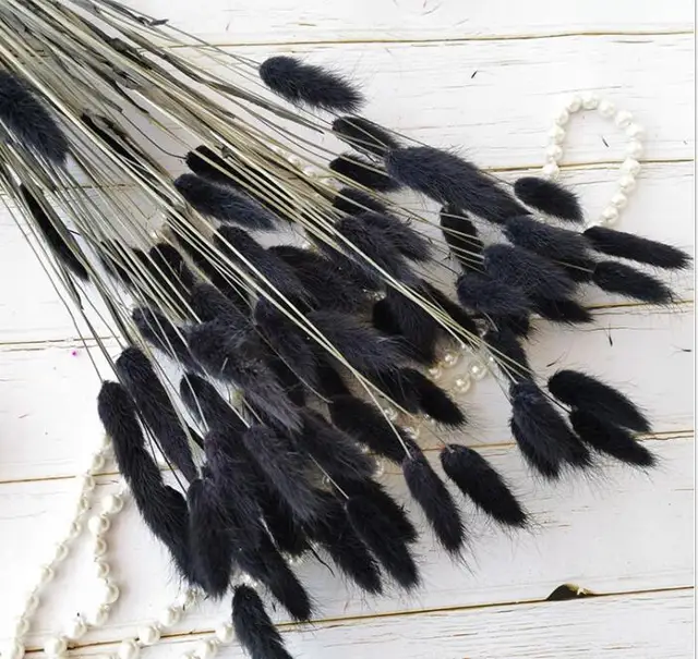 15Pcs Dried Reed Flower Arrangement Natural Pampas Grass For  Modern Home Decoration Party Backdrops Wedding Supplies Black