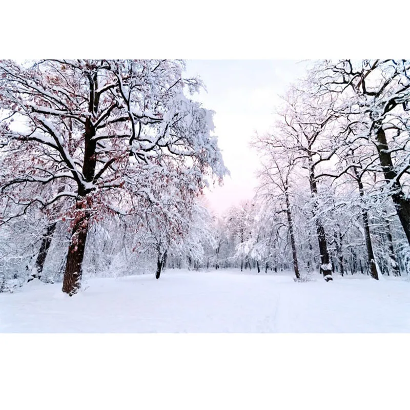 Custom-3D-Mural-Wallpaper-Beautiful-Winter-Snow-Landscape-Wall-Painting-Living-Room-TV-Backdrop-Wall-Modern (2)