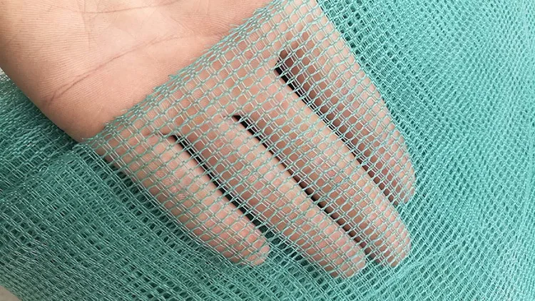 10 mesh