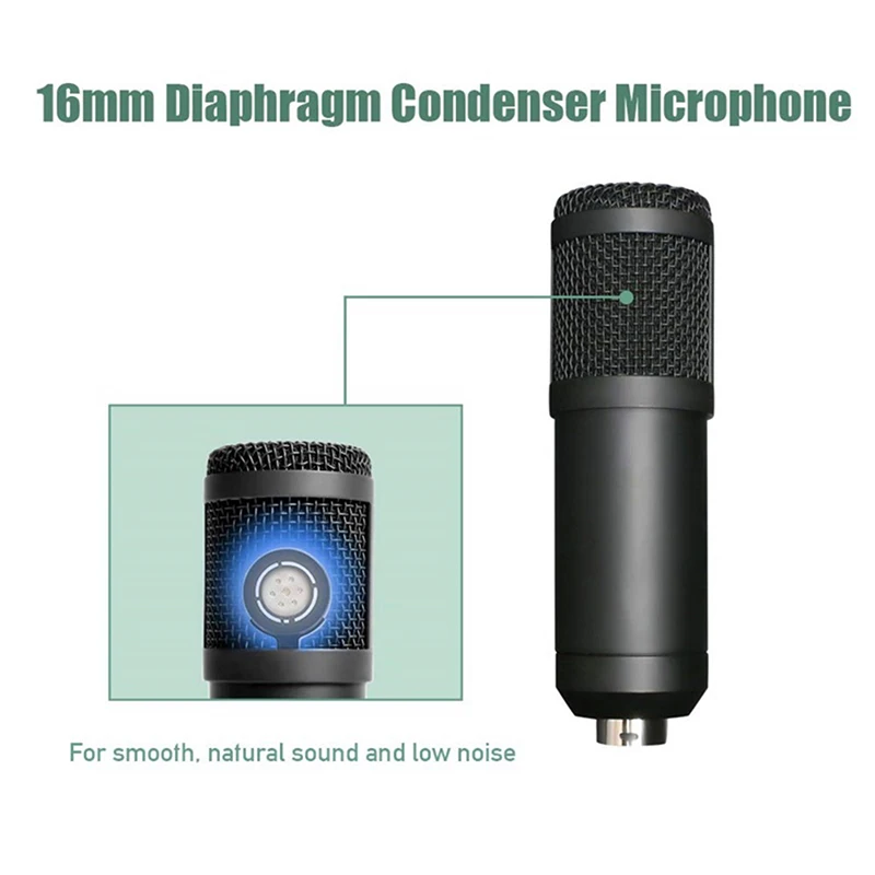 Condenser Microphone Professional Studio Cardioid