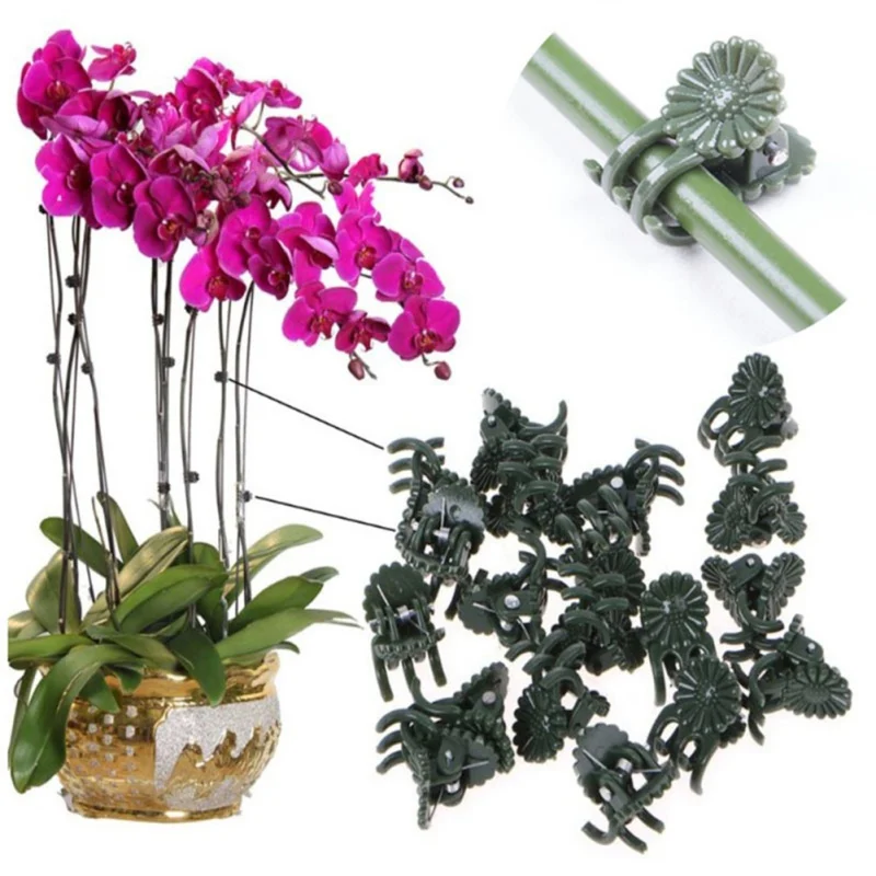 

50PCS Plastic Plant Support Clips Orchid Stem Holder For Vine Support Vegetables Flower Tied Bundle Branch Clamping Garden Tools