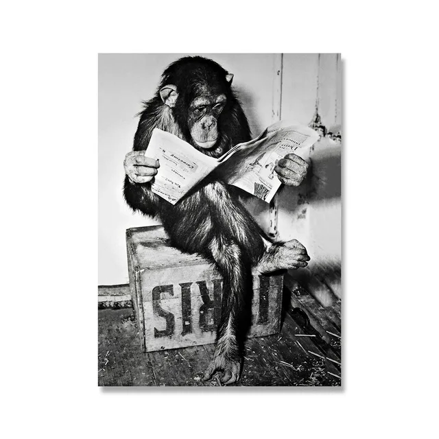 Funny-Monkey-Business-Poster-and-Print-On-The-Wall-Reading-Newspaper-Painting-Washroom-Restroom-Decor-Black (3)