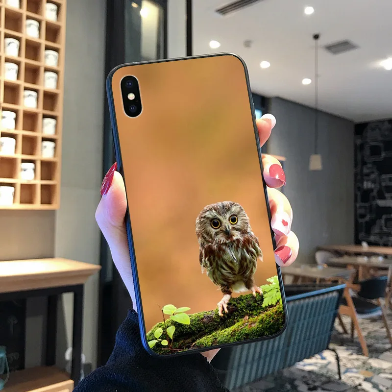 Hewan Burung Hantu Di Pohon Baru Tiba Hitam untuk iPhone 8 7 6 6S Plus X XS MAX 5 5S SE XR 11 11pro Promax Ponsel