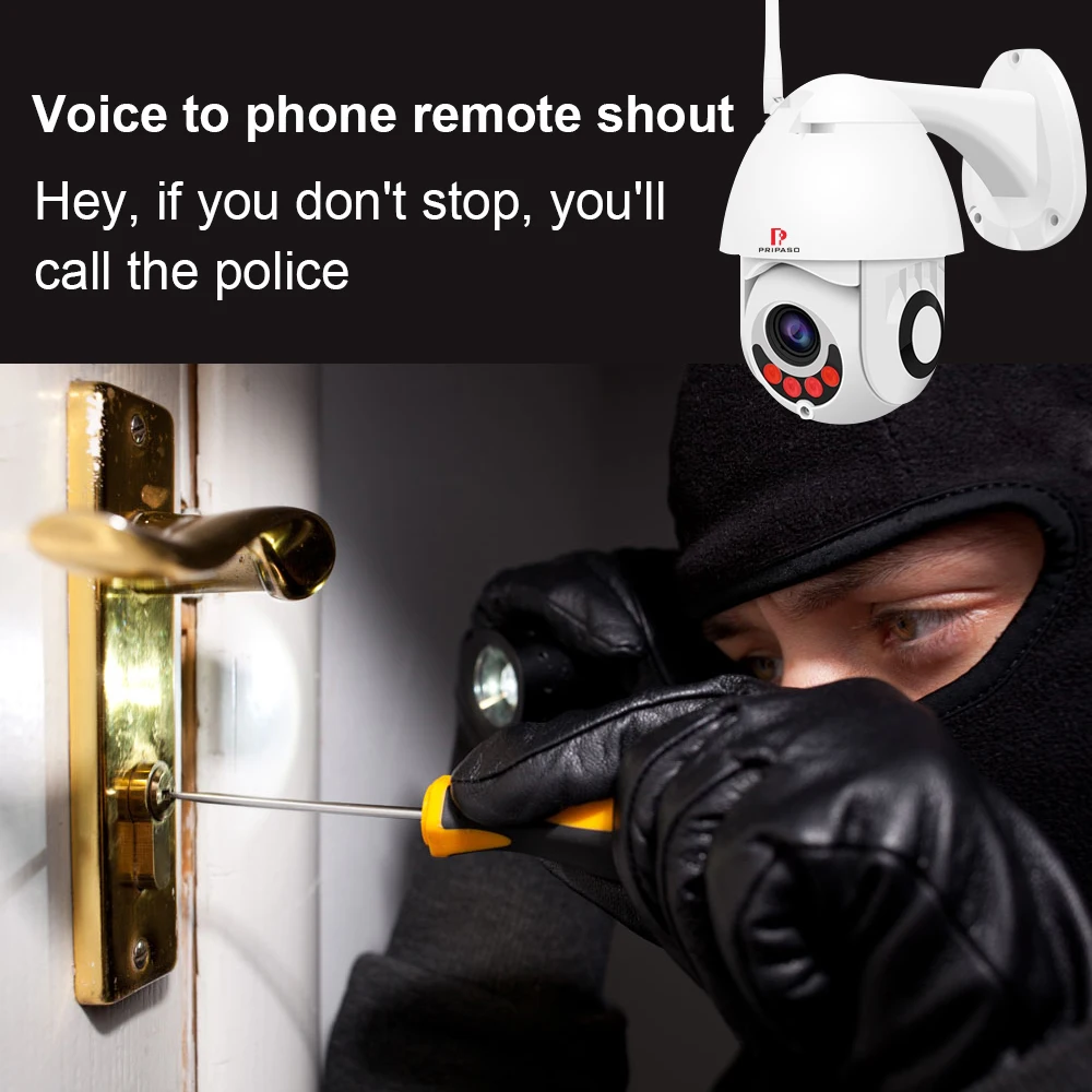 Surveillance Cameras