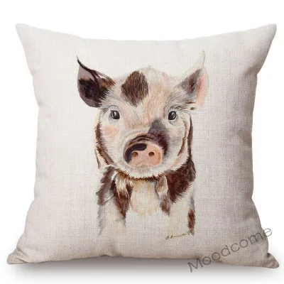 conew_t468 (5) 副本