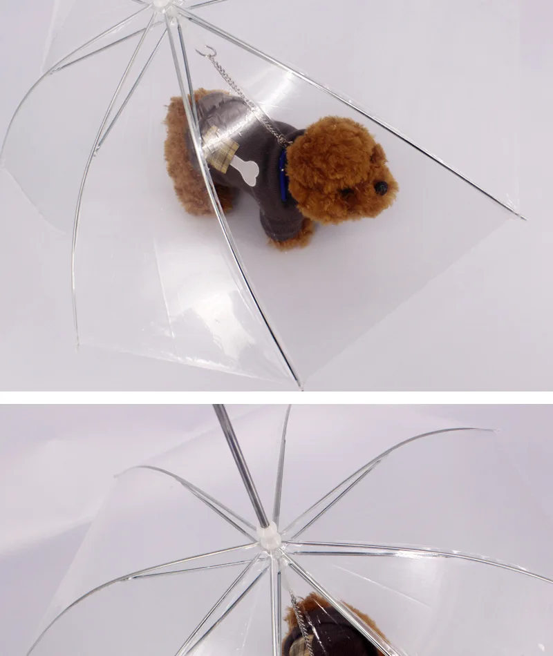 3717149786_1897535323