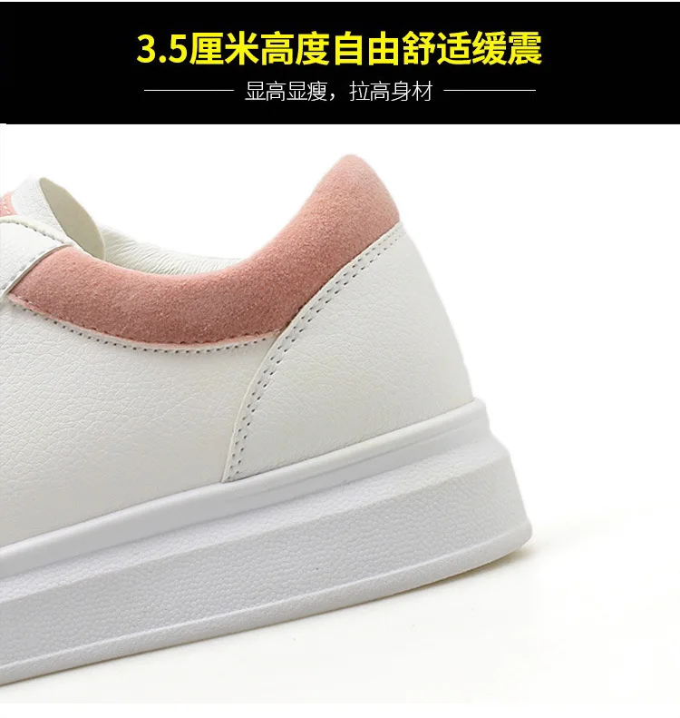 9119793406_1827748962